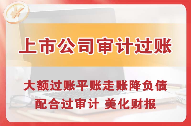 海宁上市公司审计过账